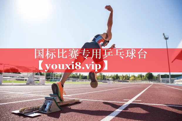 国标比赛专用乒乓球台