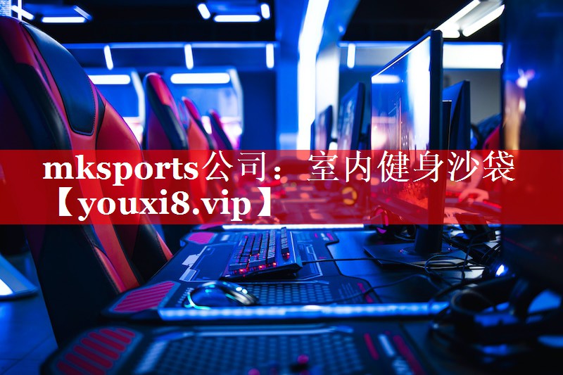 mksports公司：室内健身沙袋