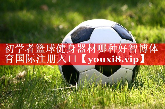 初学者篮球健身器材哪种好智博体育国际注册入口