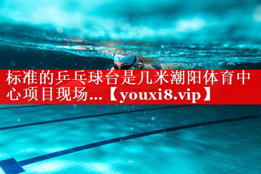 标准的乒乓球台是几米潮阳体育中心项目现场…
