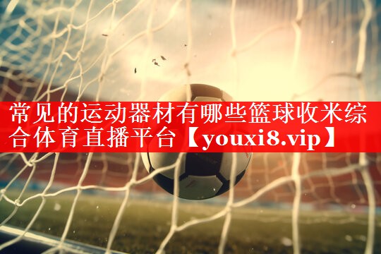 常见的运动器材有哪些篮球收米综合体育直播平台