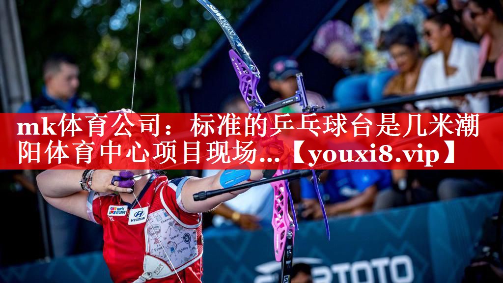 mk体育公司：标准的乒乓球台是几米潮阳体育中心项目现场…
