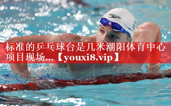 标准的乒乓球台是几米潮阳体育中心项目现场…