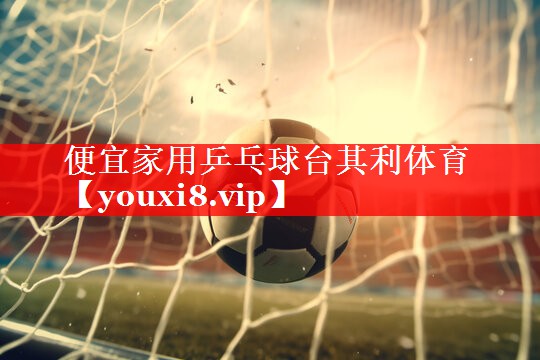 便宜家用乒乓球台其利体育