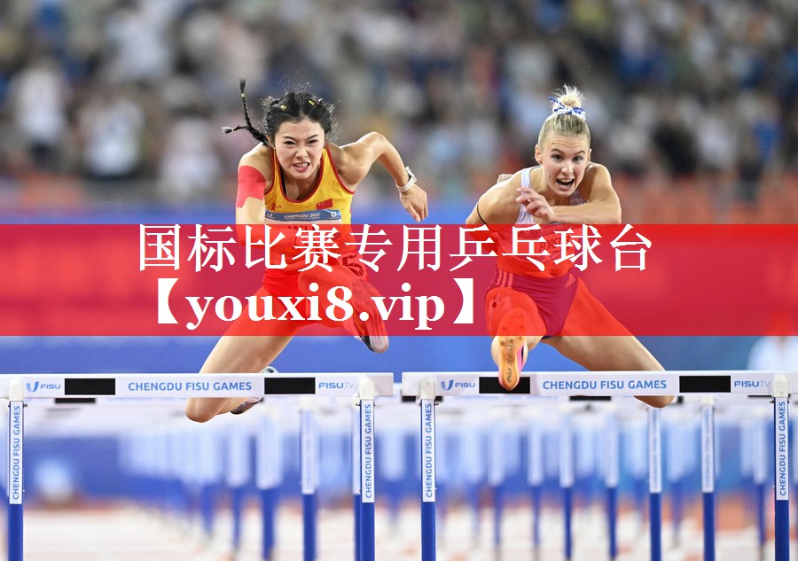 国标比赛专用乒乓球台 国标比赛专用乒乓球台
