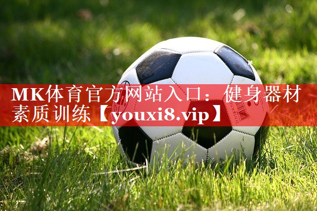 健身器材素质训练 健身器材素质训练